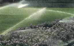 Harmony Outdoors can help you conserve water and care for your lawn with underground sprinklers